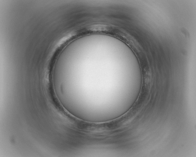 X0000115740727200911251959