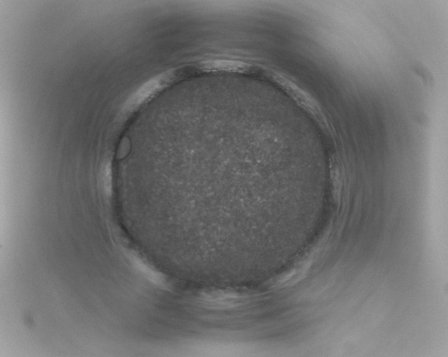 X0000115740729200911251959