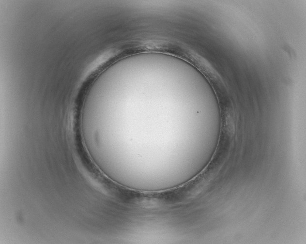 X0000115740730200911251959