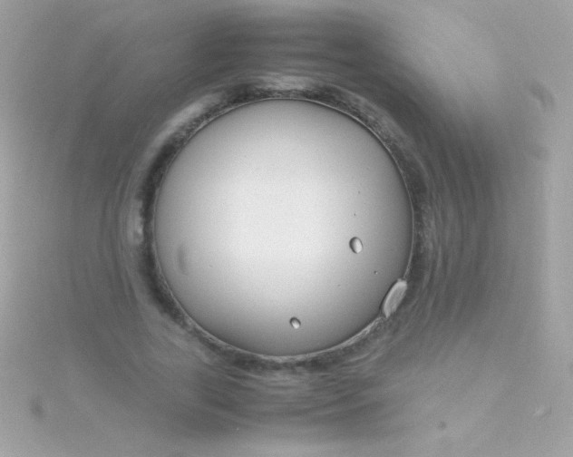 X0000115740731200911251959