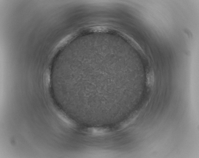 X0000115740733200911251959