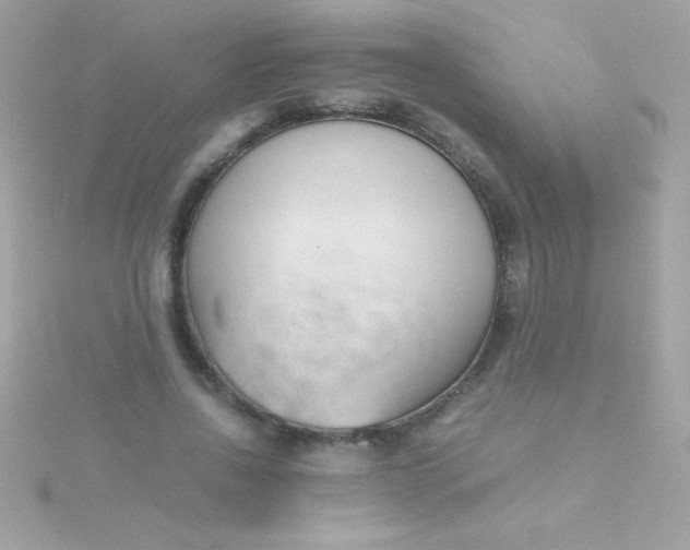 X0000115740734200911251959