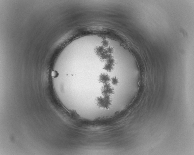 X0000115740735200911251959