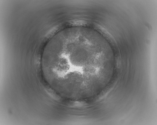 X0000115740737200911251959