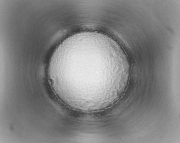 X0000115740738200911251959