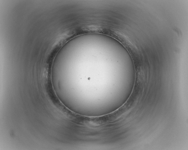 X0000115740739200911251959