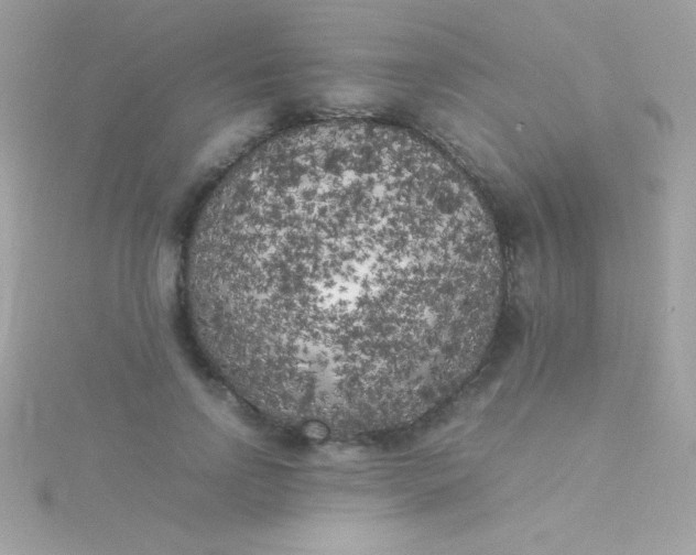 X0000115740742200911251959