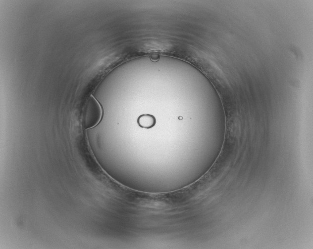 X0000115740743200911251959