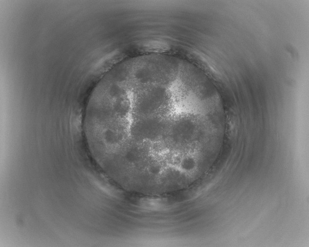 X0000115740745200911251959