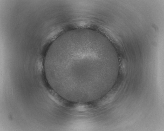 X0000115740746200911251959