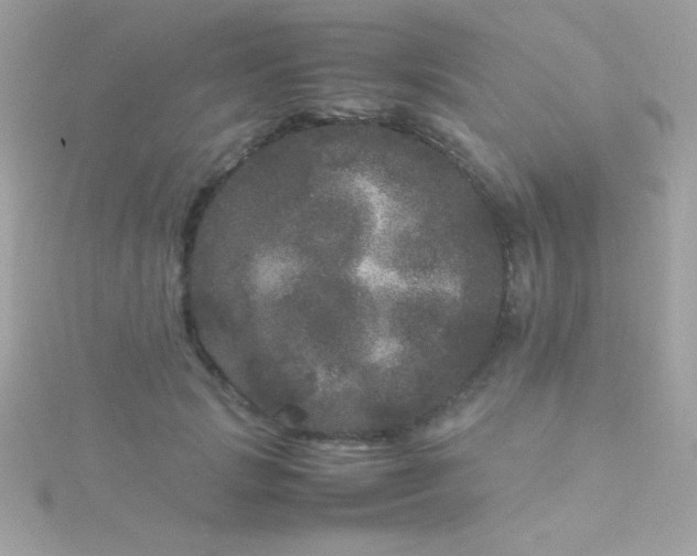 X0000115740749200911251959