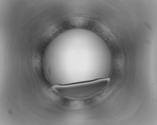 X0000115740750200911251959