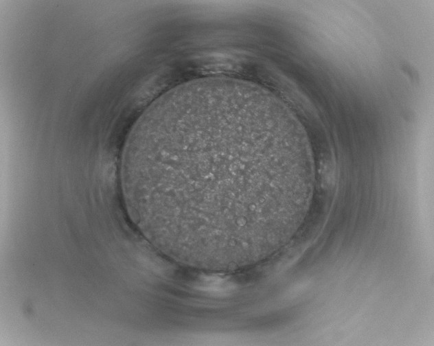 X0000115740753200911251959