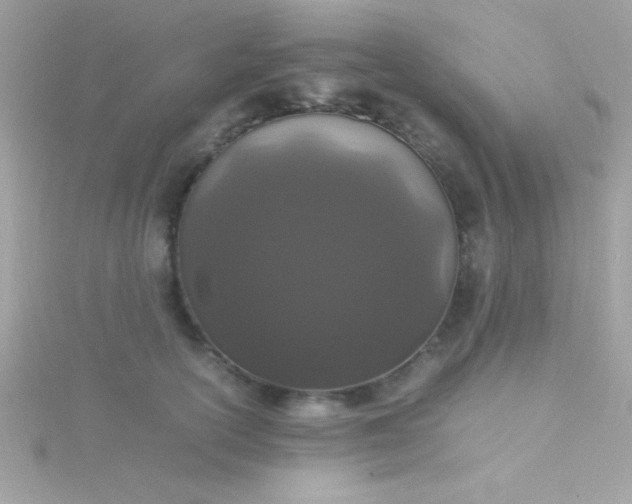 X0000115740754200911251959