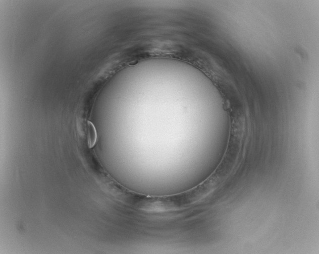 X0000115740755200911251959