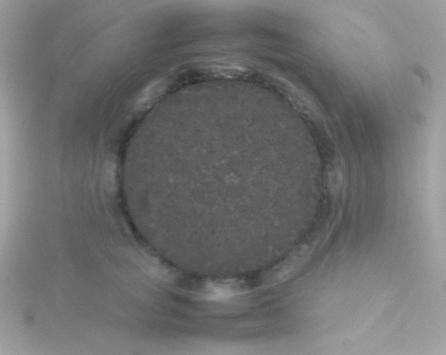 X0000115740757200911251959