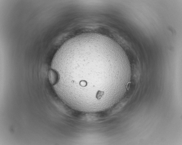 X0000115740758200911251959