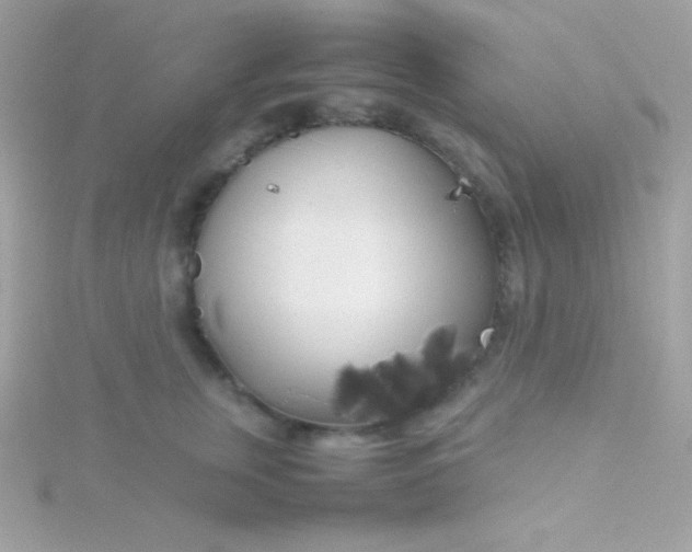 X0000115740759200911251959