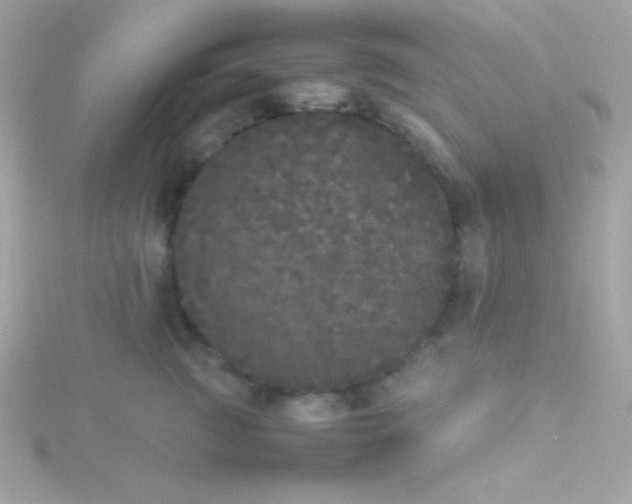 X0000115740761200911251959