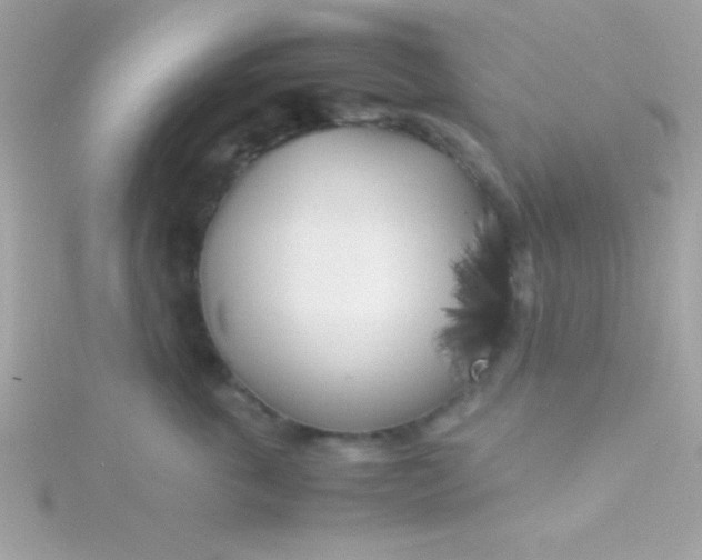 X0000115740763200911251959