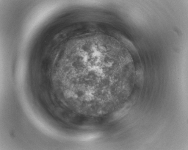 X0000115740765200911251959