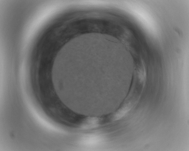 X0000115740766200911251959