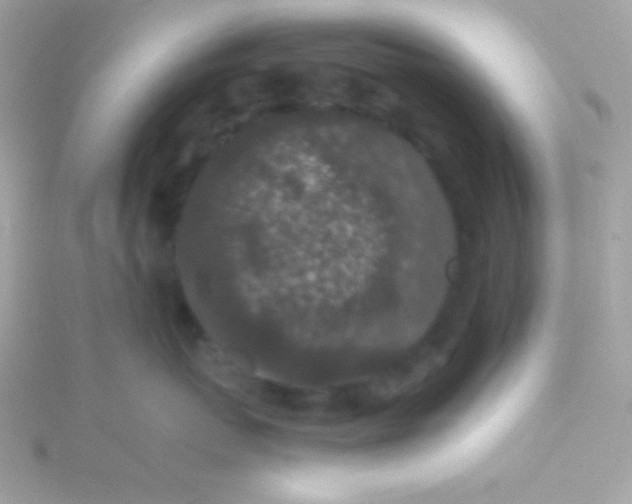 X0000115740767200911251959