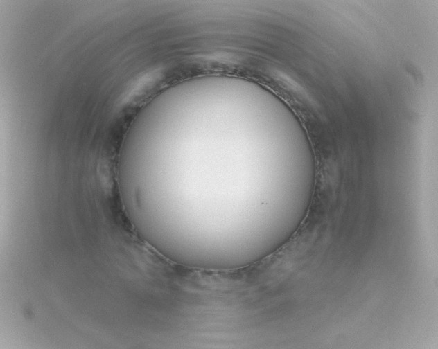 X0000115740774200911251959