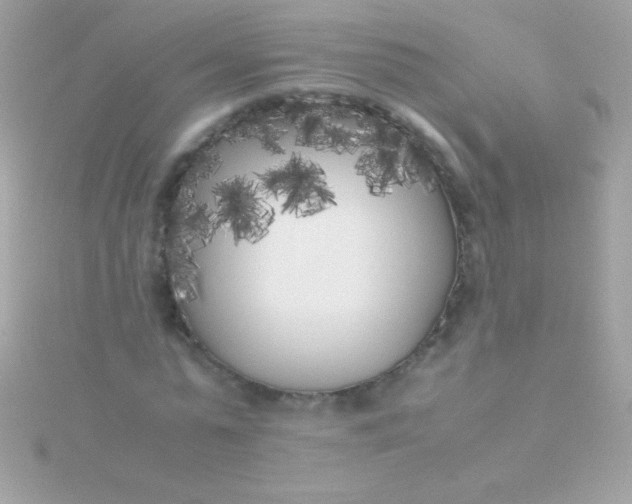 X0000115740775200911251959