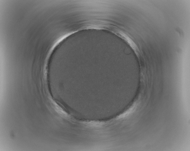 X0000115740779200911251958