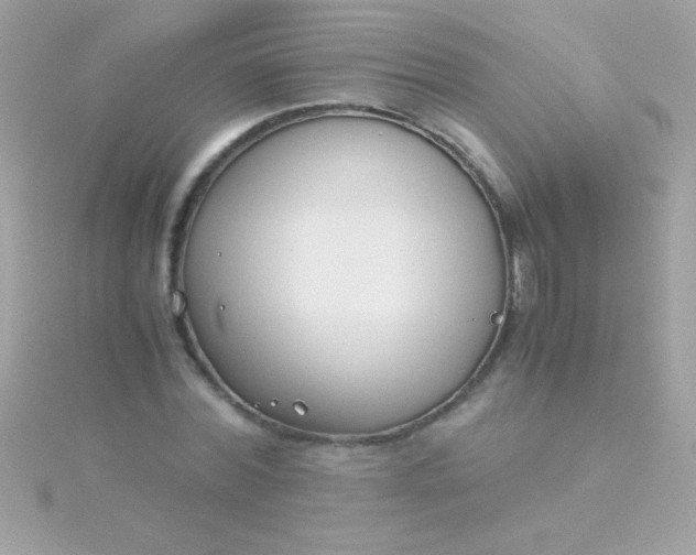 X0000115740780200911251958