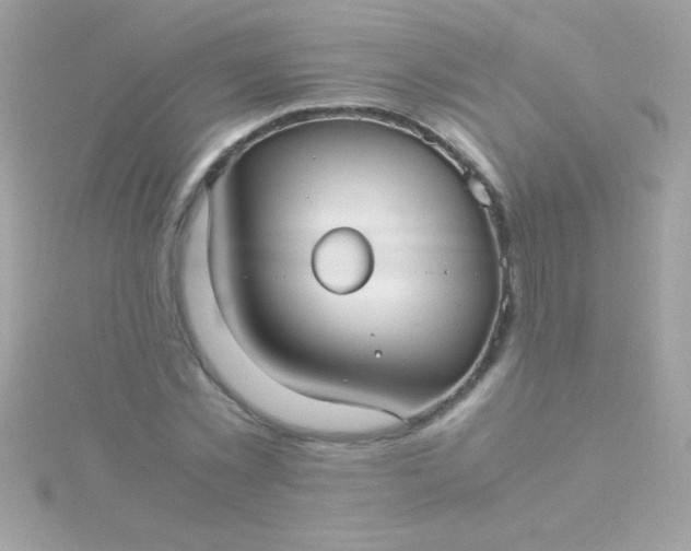 X0000115740781200911251958