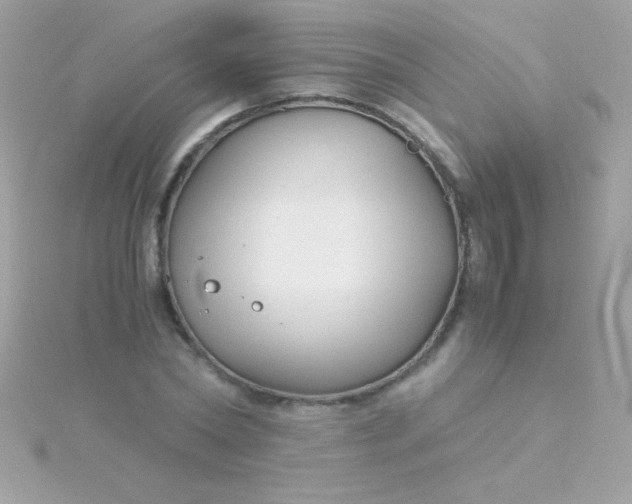 X0000115740782200911251958