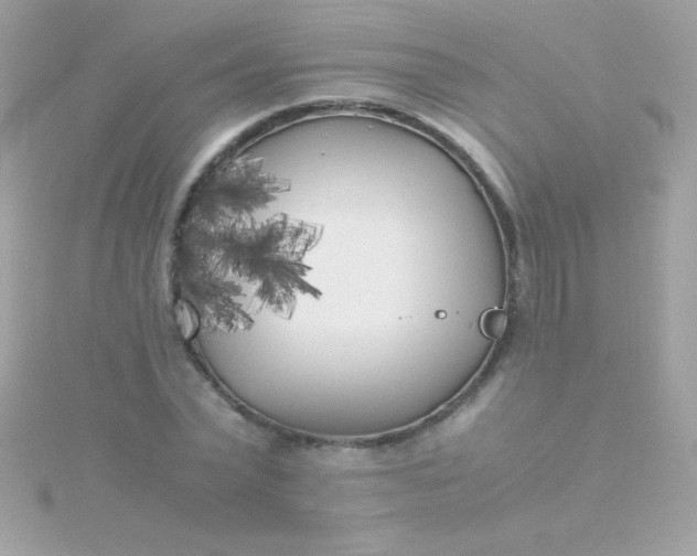 X0000115740783200911251958