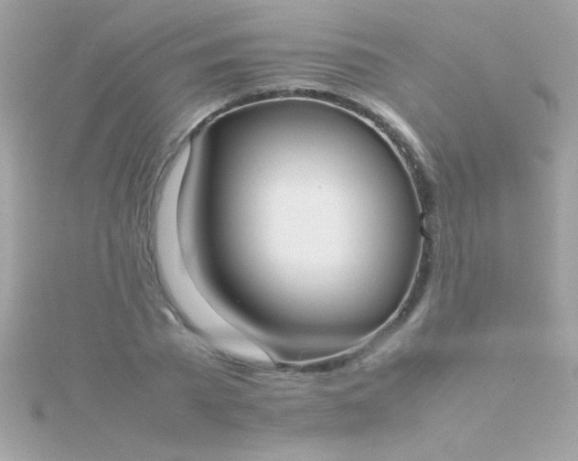 X0000115740785200911251958