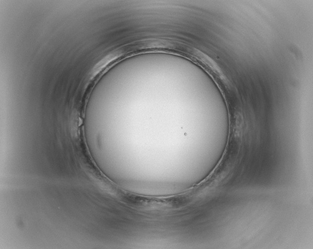 X0000115740786200911251958