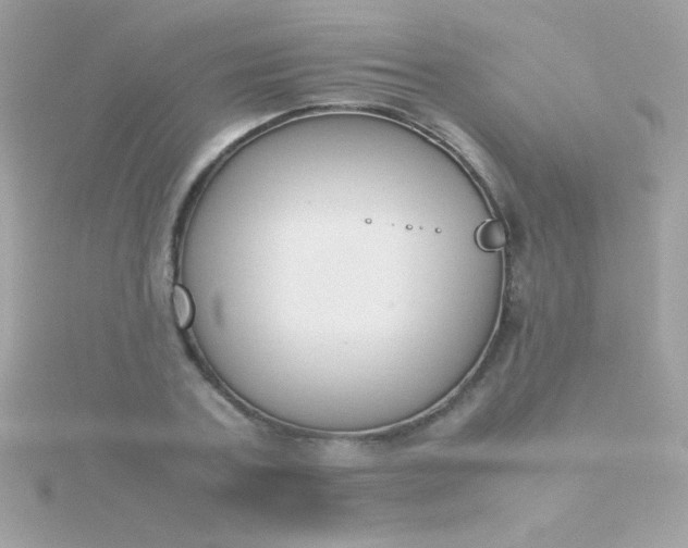 X0000115740787200911251958