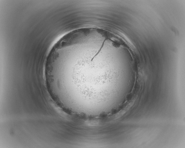 X0000115740788200911251958