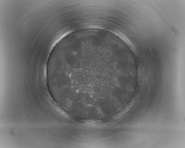 X0000115740790200911251958