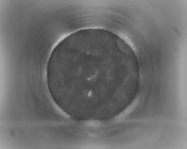 X0000115740797200911251958