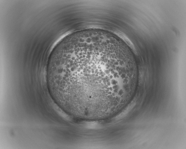 X0000115740798200911251958