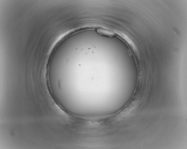 X0000115740799200911251958