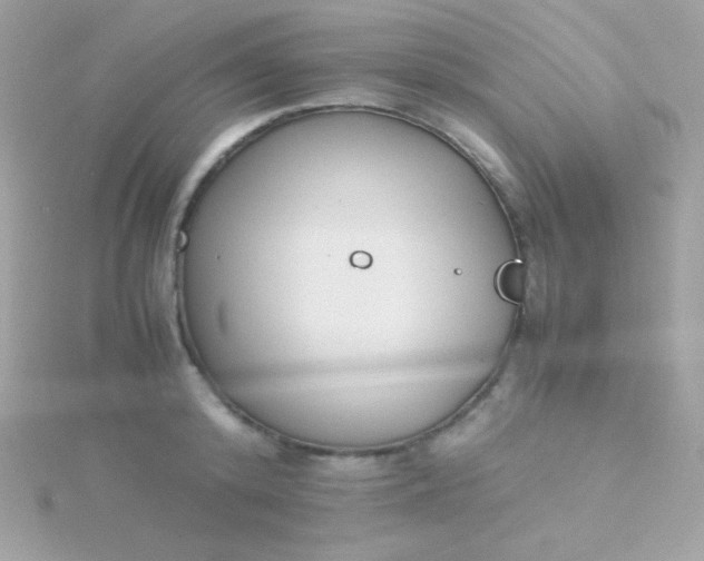 X0000115740800200911251958