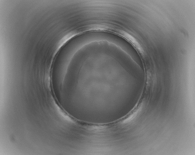 X0000115740802200911251958