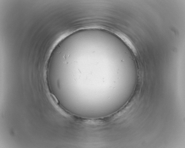 X0000115740805200911251958