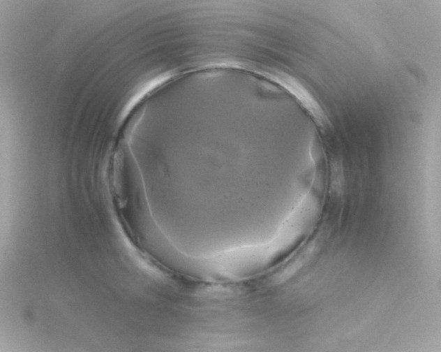 X0000115740806200911251958