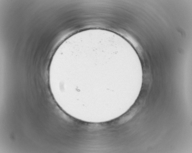 X0000115740807200911251958