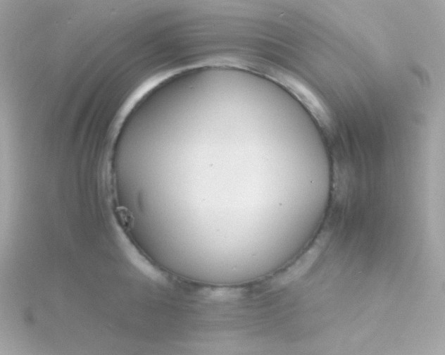 X0000115740808200911251958