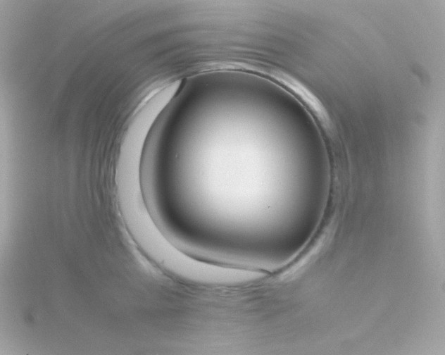 X0000115740809200911251958