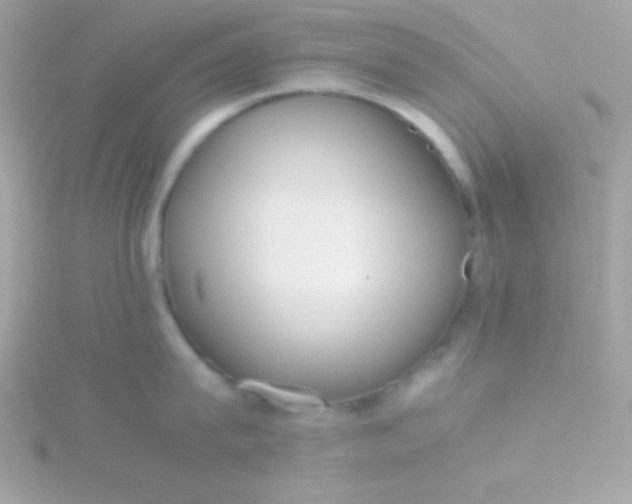 X0000115740815200911251958